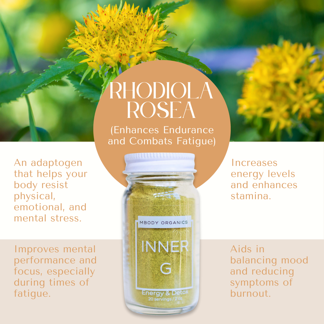 Mbody Organics INNER G with Rhodiola Rosea, describing its endurance-enhancing and fatigue-fighting benefits.