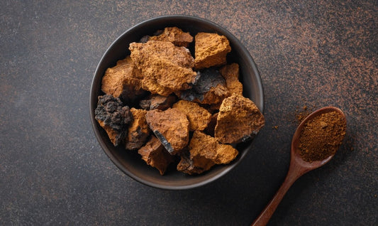 Chaga Mushroom: Nature’s Antioxidant Powerhouse for Cellular Health