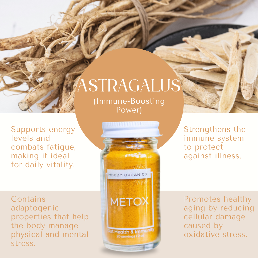 Mbody Organics METOX with Astragalus root, emphasizing its immune-boosting and energy-enhancing qualities.
