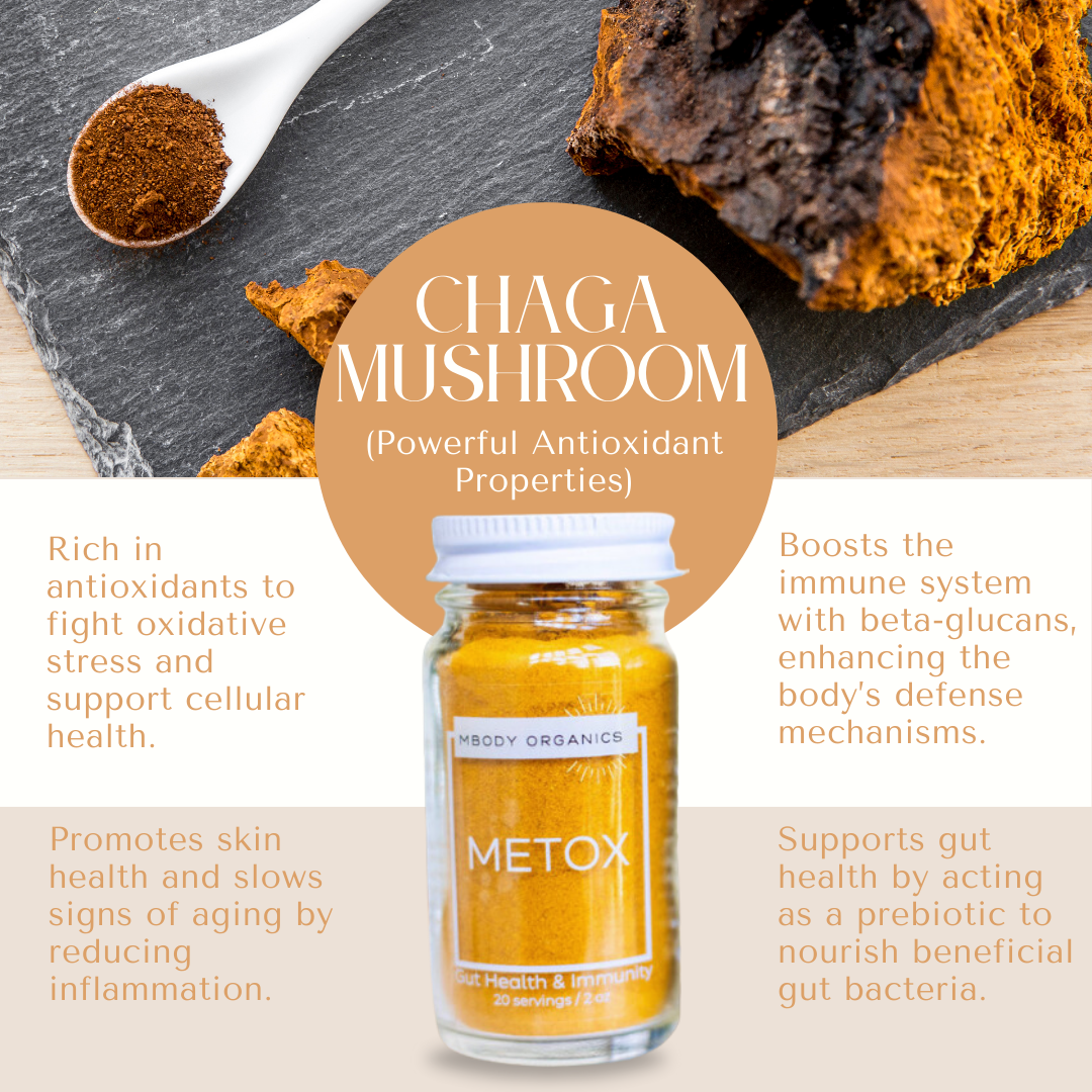 Mbody Organics METOX with Chaga mushroom, highlighting its antioxidant and immune-boosting properties.