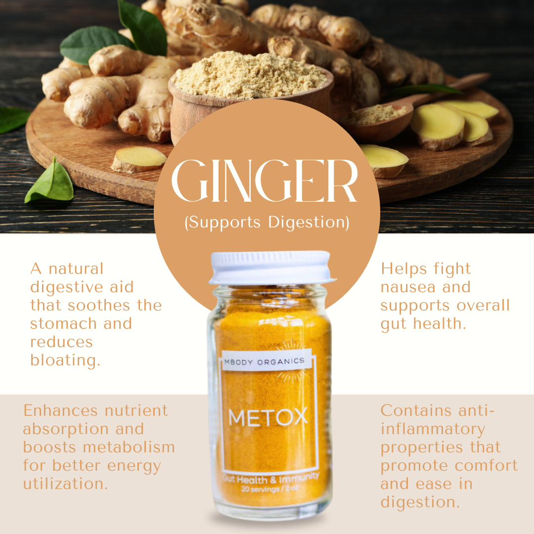 Mbody Organics METOX with ginger root and powder, showcasing its digestive and anti-inflammatory benefits.