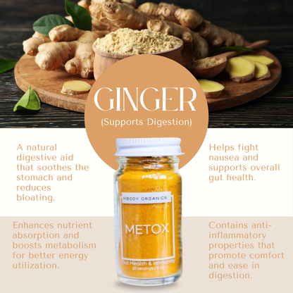 Mbody Organics METOX with ginger root and powder, showcasing its digestive and anti-inflammatory benefits.