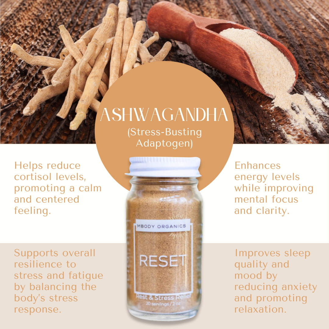 Mbody Organics RESET with Ashwagandha root powder, showcasing its stress-reducing and energy-boosting benefits.