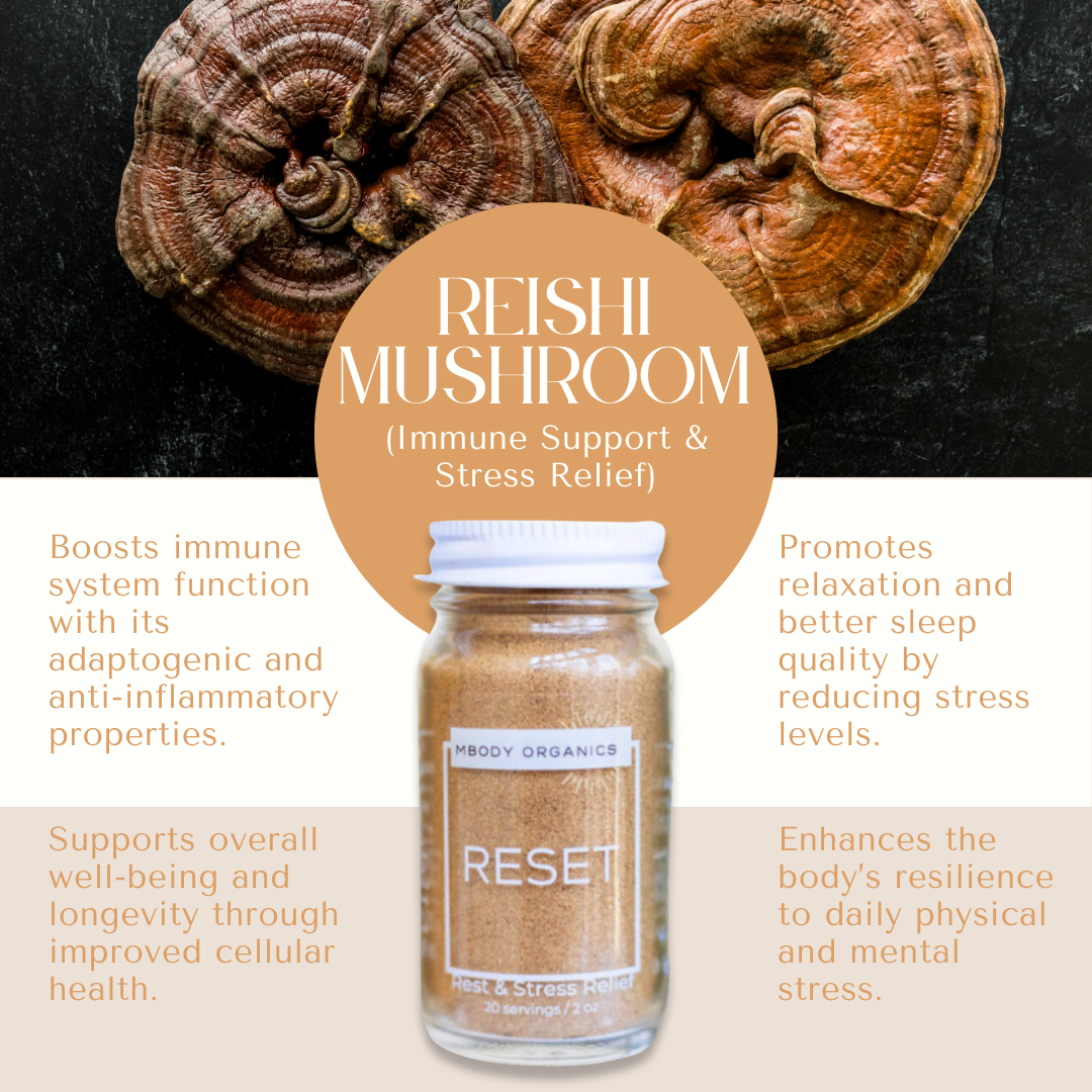 Mbody Organics RESET with Reishi mushrooms, emphasizing its stress-relief and immune-support benefits.