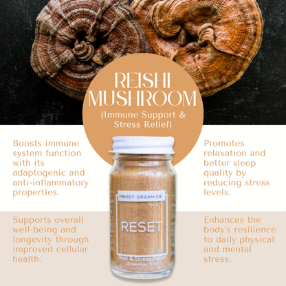 Mbody Organics RESET with Reishi mushrooms, emphasizing its stress-relief and immune-support benefits.